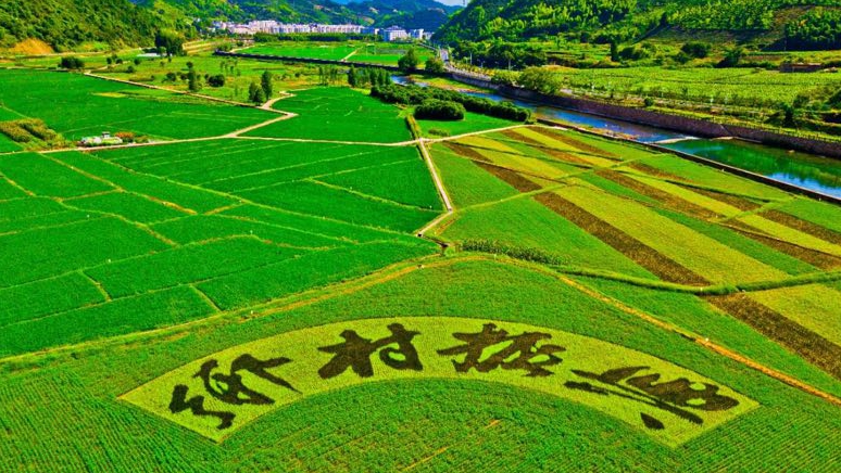 政策解讀｜《中共中央 國(guó)務(wù)院關(guān)于做好2023年全面推進(jìn)鄉(xiāng)村振興重點(diǎn)工作的意見(jiàn)》